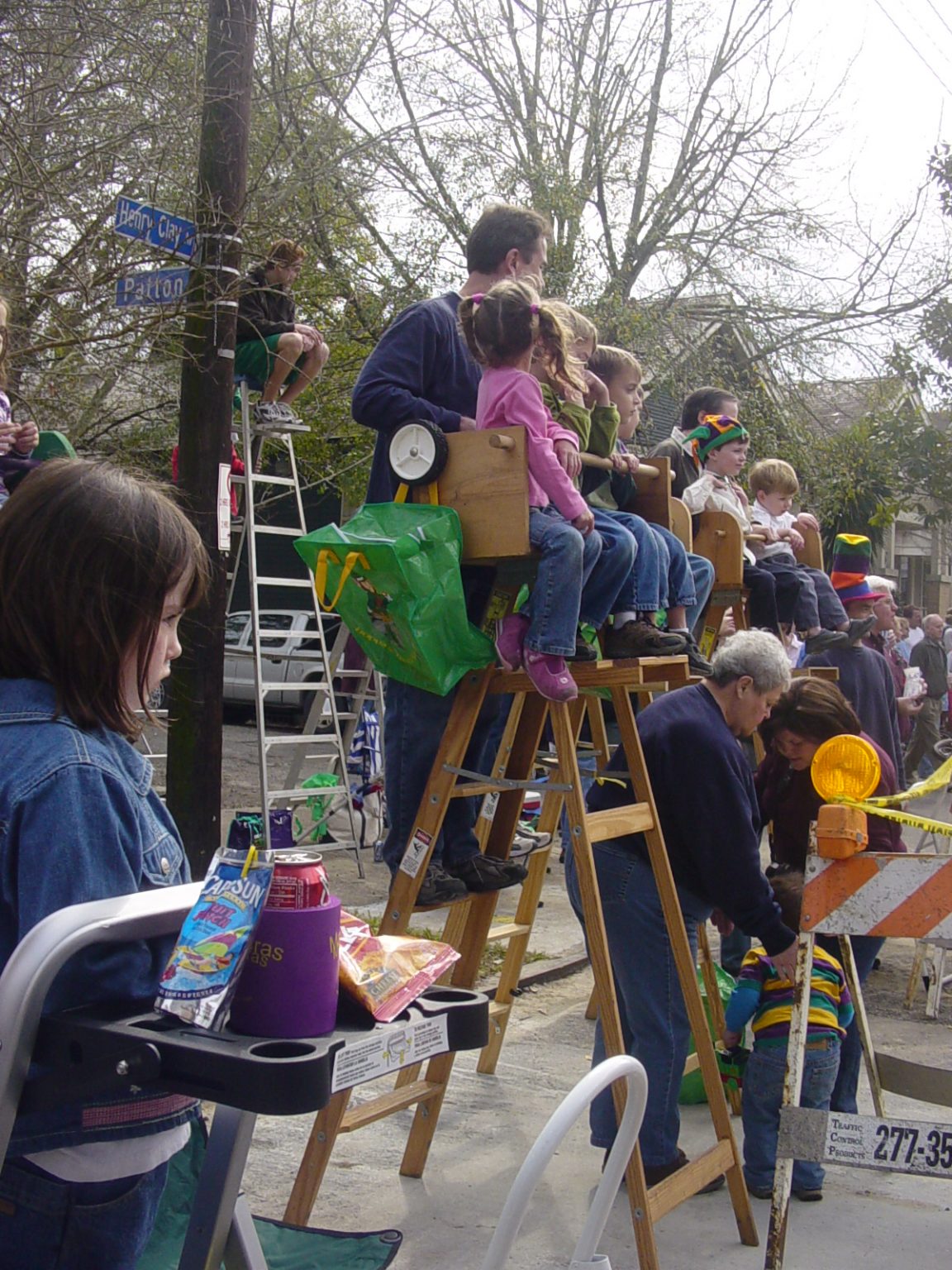 ace hardware mardi gras ladder